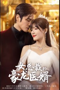 电影：女总裁的豪龙医婿