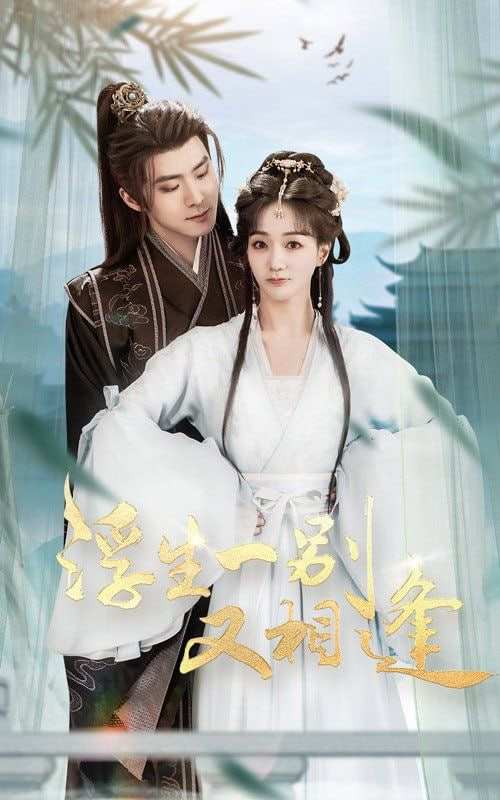 电影：浮生一别又相逢