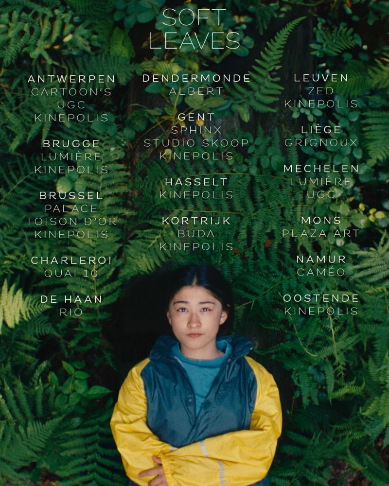 电影:温柔的叶子