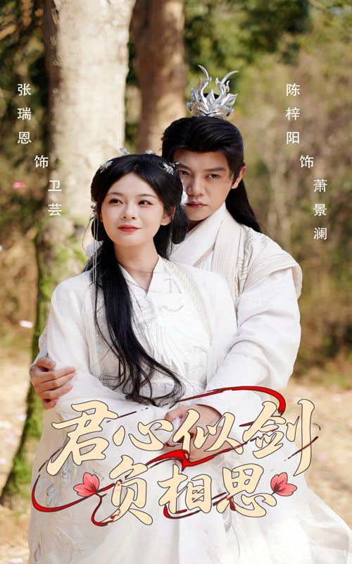 电影:君心似剑负相思