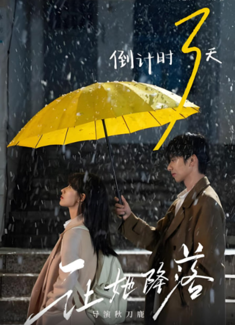 电影：让她降落