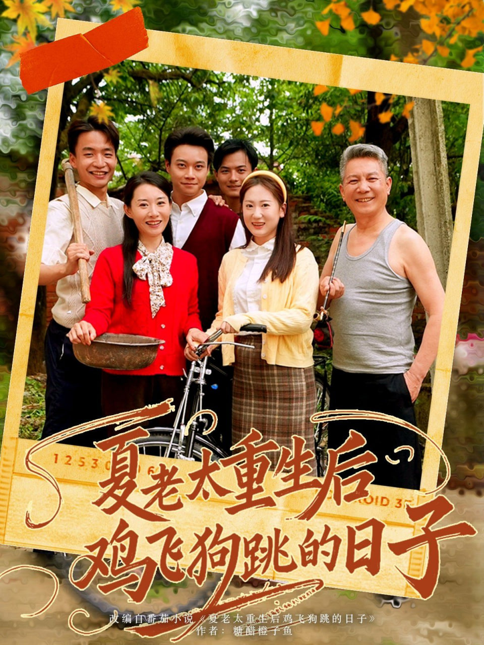 电影:夏老太重生后鸡飞狗跳的日子