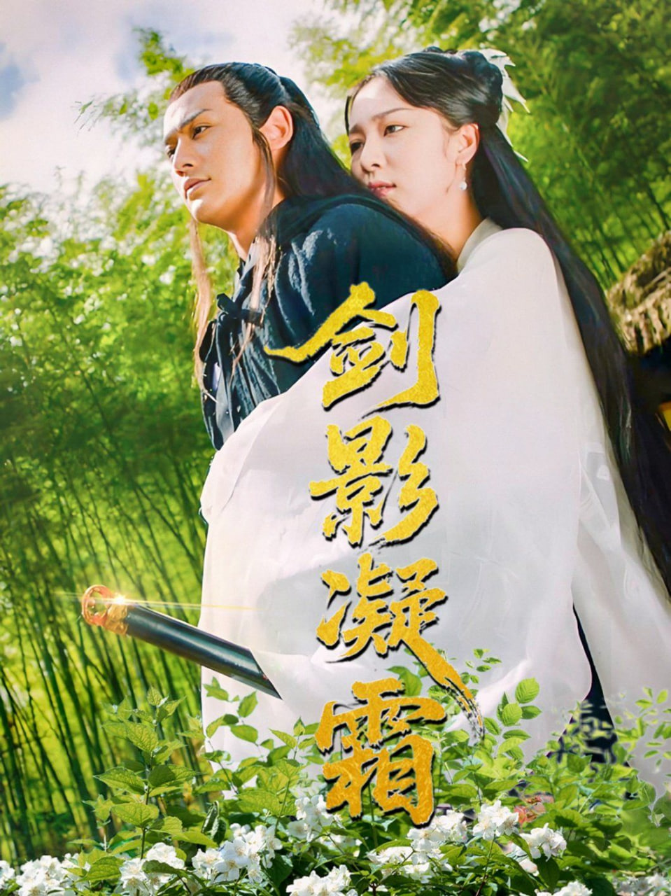 电影：剑影凝霜