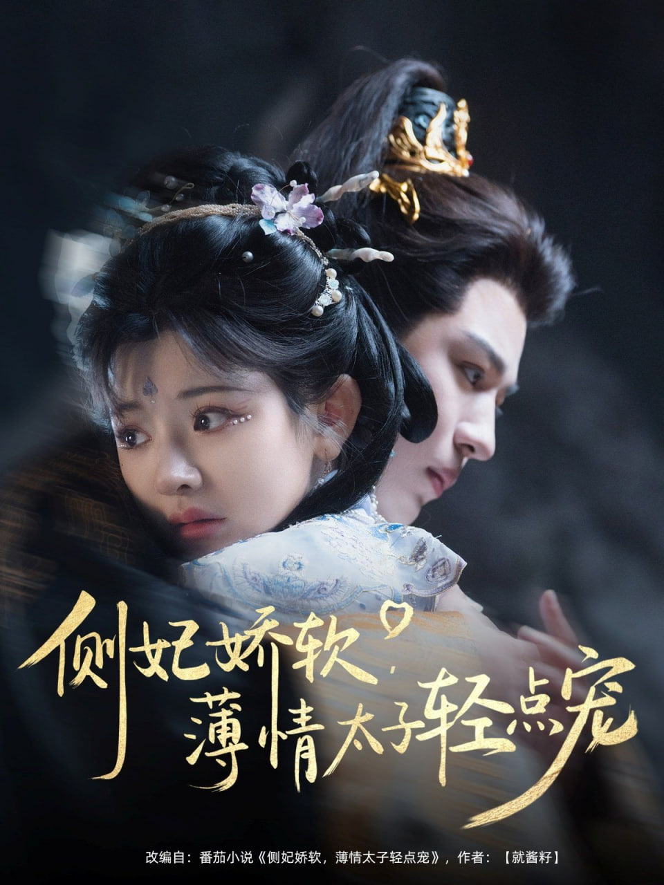 电影：侧妃娇软薄情太子轻点宠