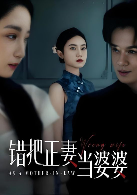 电影：错把正妻当婆婆