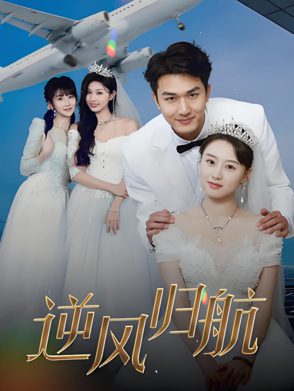 电影：逆风归航