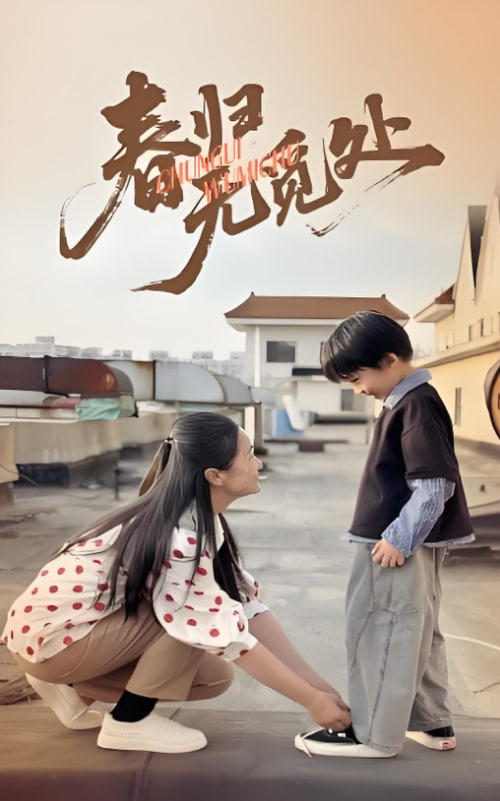 电影：春归无觅处