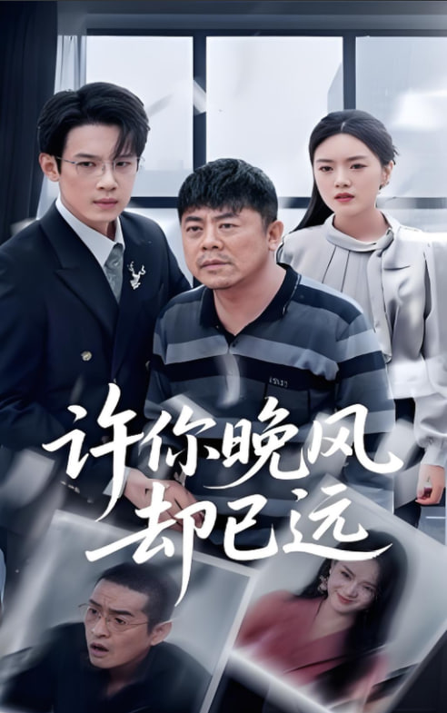 电影：许你晚风却已远