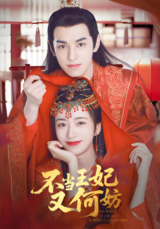 电影：不当王妃又何妨