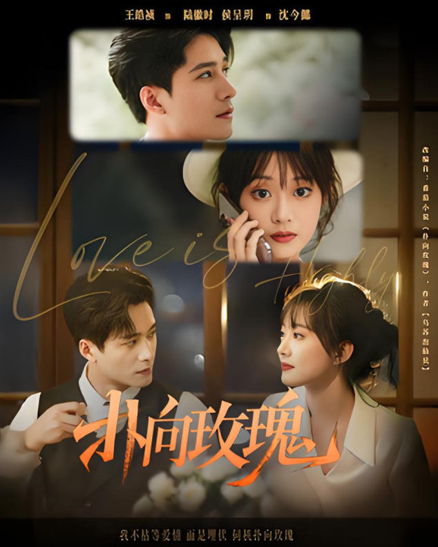 电影：扑向玫瑰