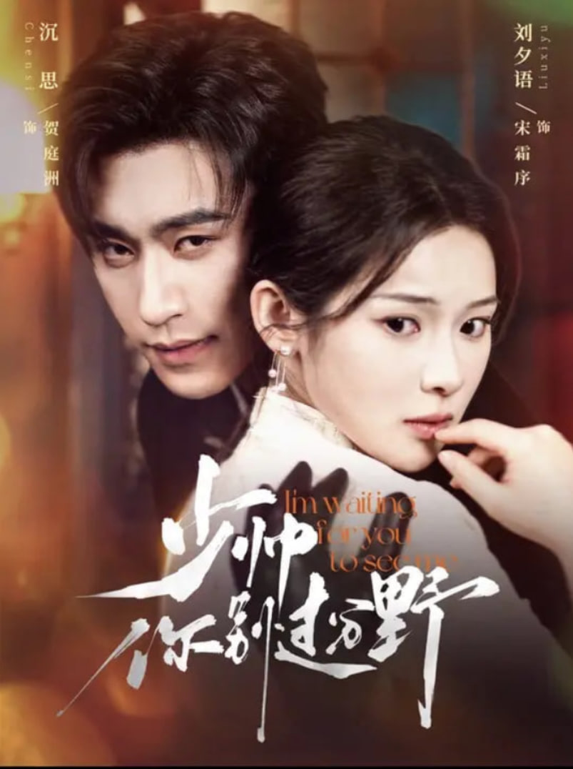 电影：少帅你别过分野