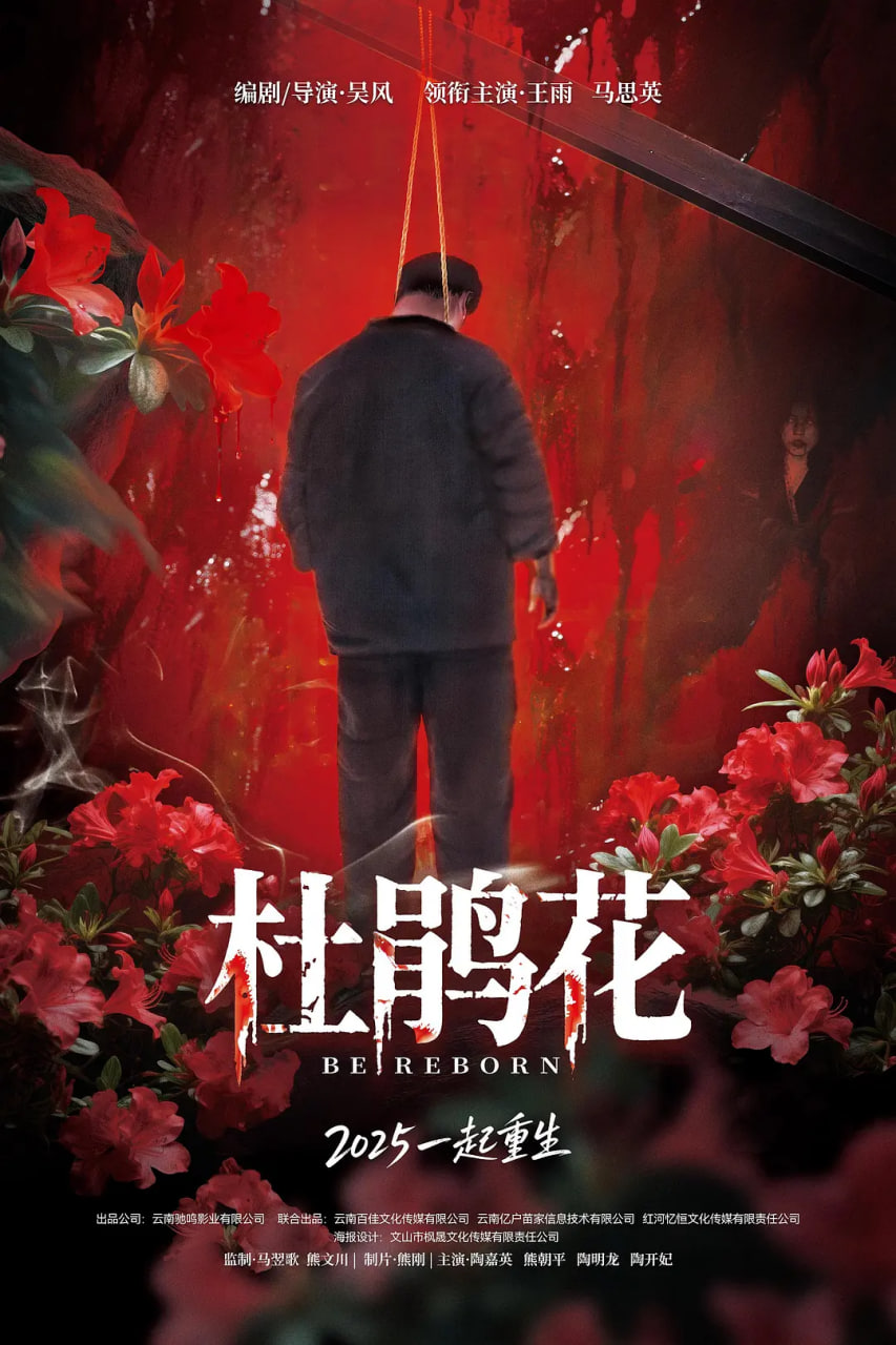 电影:杜鹃花