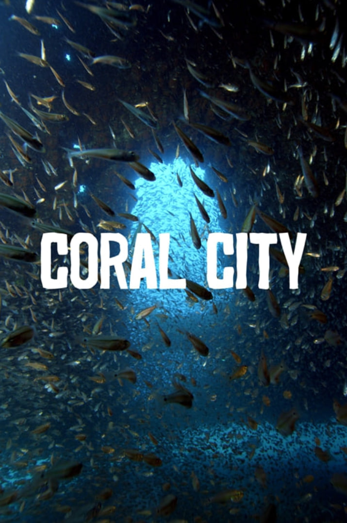 2018纪录片《珊瑚城 第一季 未删减版》迅雷下载_中文完整版_百度云网盘720P|1080P资源
