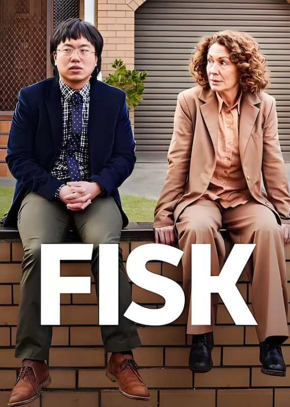 电影:律师菲斯克 第三季