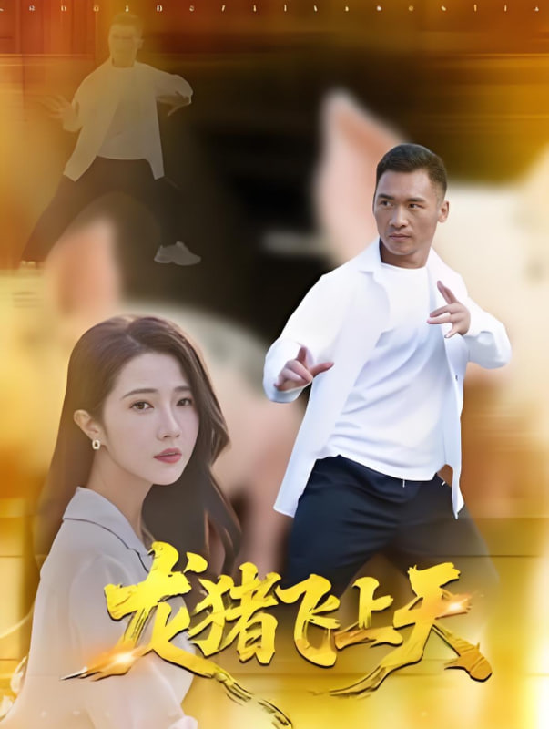 2018剧情片《龙猪飞上天 非法入境 高清影视》迅雷下载_中文完整版_百度云网盘720P|1080P资源