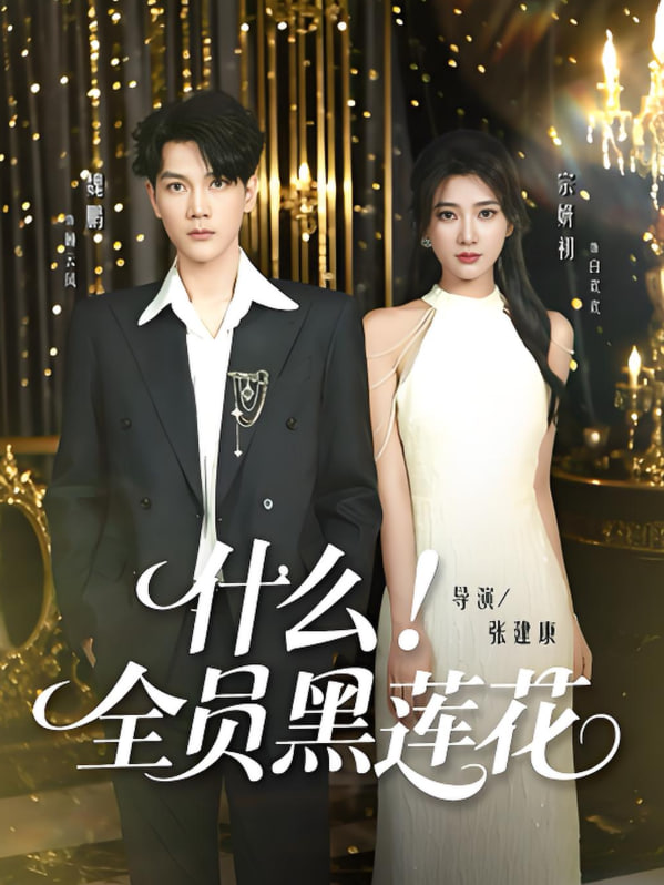 什么全员黑莲花封面图