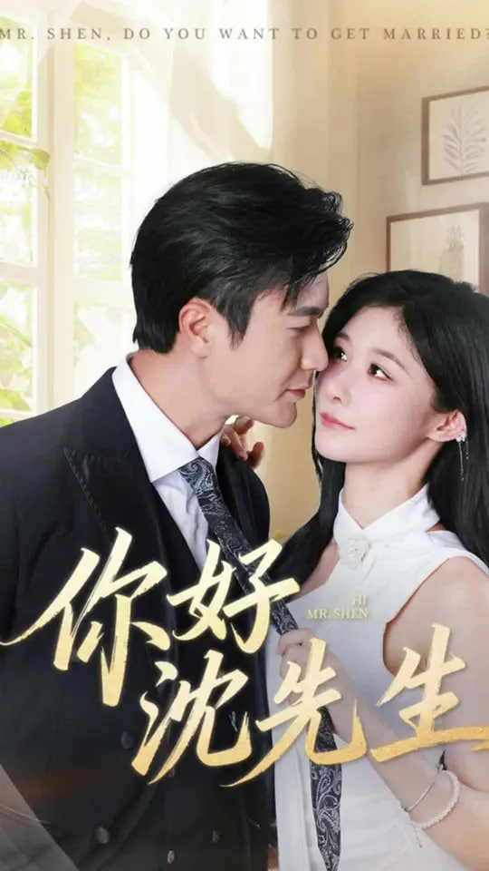 你好沈先生封面图