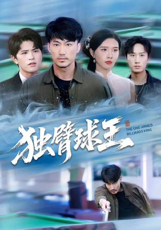 独臂球王不服输的球王封面图