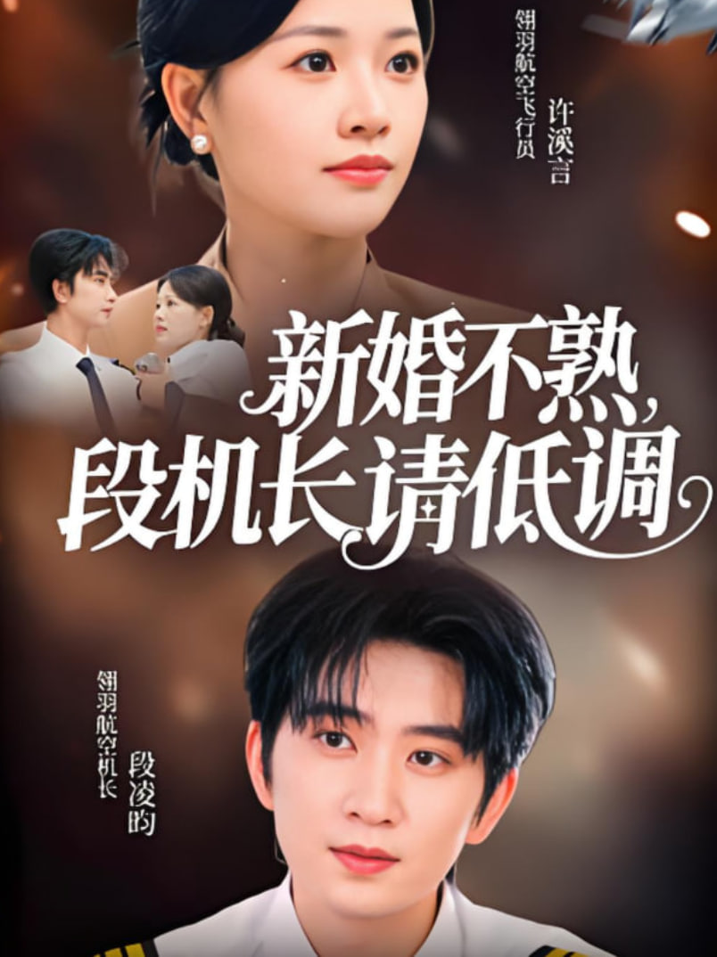 新婚不熟段机长请低调封面图