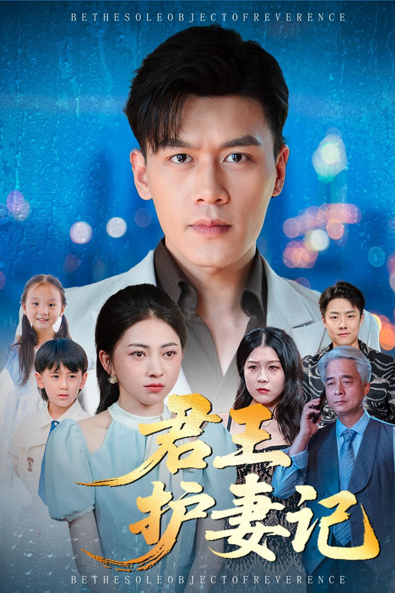 君王护妻记独尊封面图