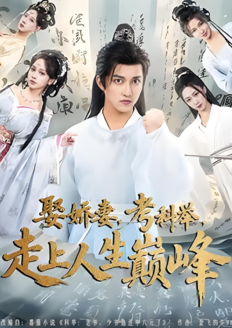 娶娇妻考科举走上人生巅峰