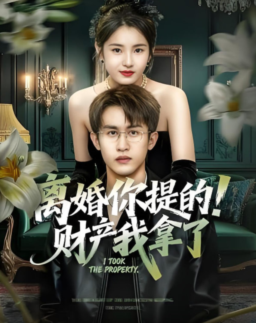 离婚你提的！财产我拿了