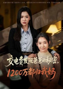 交电费发现爸爸的秘密1200万都归我妈